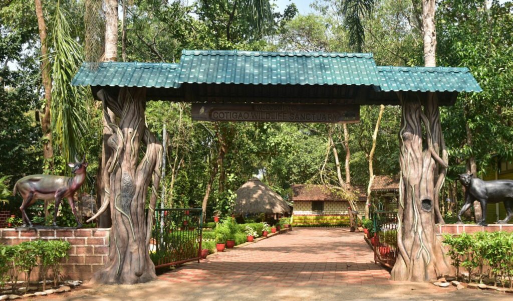 Cotigao-Wildlife-Sanctuary, south goa sightseeing places