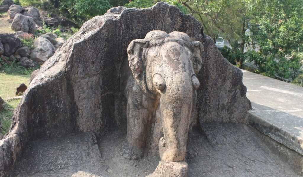 Dhauli